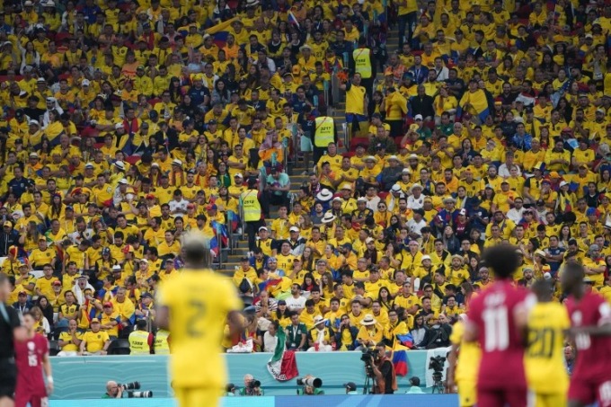 Qatar vs ecuador