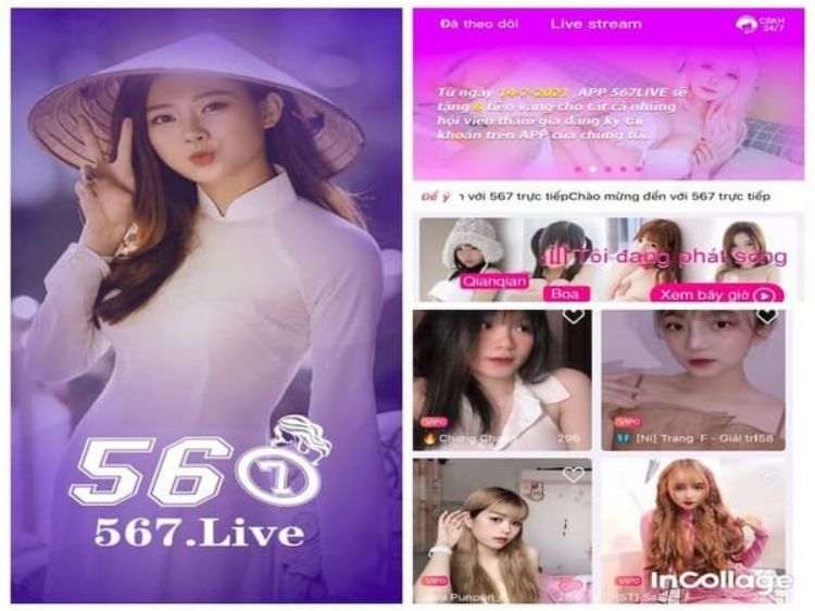 567live-app-1